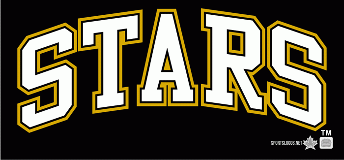Texas Stars 2009 10-Pres Wordmark Logo1 iron on heat transfer